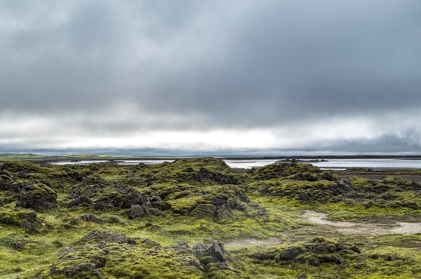 Morning Light in Iceland door Georg Berrisch
