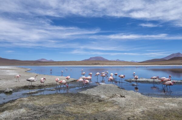 Laguna Canapa door Georg Berrisch