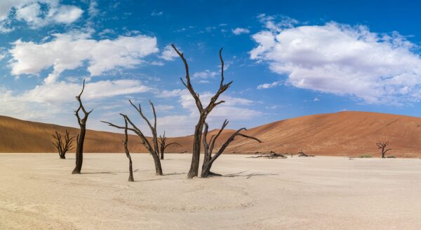 Sossusvlei door Georg Berrisch